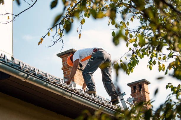 Best Storm Damage Roof Repair  in Nowthen, MN